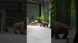 Как дерутся собаки