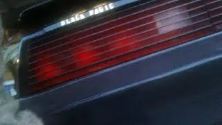 Cold startup 1983 Pontiac Firebird Trans Am