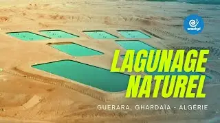 Station de traitement des eaux us&eacute;es par lagunage Guerrara, Ghardaia