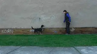 Na&scaron;e cesta Online &Scaron;kolou Pohybu I. s www.awesomedogs.cz - Arberry von Morseli