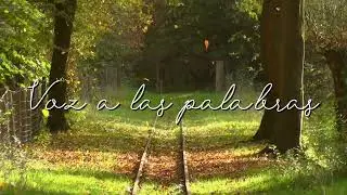 El viaje, un poema de Mary Oliver