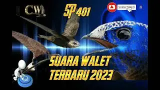 𝙨𝙪𝙖𝙧𝙖 𝙬𝙖𝙡𝙚𝙩 𝙩𝙚𝙧𝙗𝙖𝙧𝙪 2023.𝙨𝙥 401. untuk suara panggil .รังนกนางแอ่น(&acirc;m thanh nuốt)