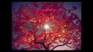 Terima Kasih Guru - Mirwana