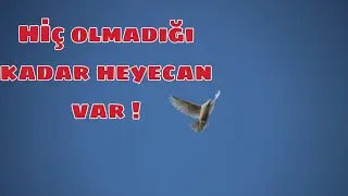 REŞİT KUŞTUTAN ÜSTADIMIZIN GÖY FESTİVALİNE KATILDIK ! SONUÇ BİZİ ŞAŞIRTTI !