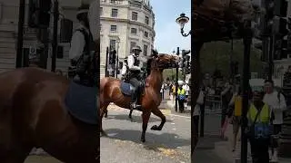 King Charles Birthday Parade #viral #shorts #youtubeshorts #kingcharles #ytshorts