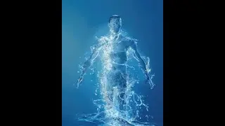 Body Water