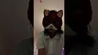 Meet Lucifer #cat #foxtherian #animalcostume #therianthropy #therian #animalmask #art #foxmask