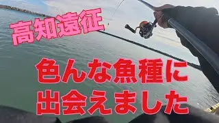 【初心者釣り女子】高知遠征、色んな魚種に出会えました