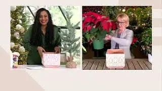 Barbara King Indoor/Outdoor 9