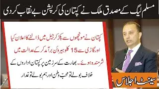 PMLN Senator Musadik Malik Sensational Speech In Senate | Charsadda Journalist
