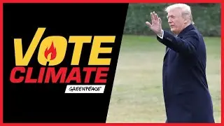 Why Vote?