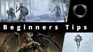 ESO| Beginners Tips