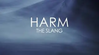 The Slang - Harm (Lyrics Video)