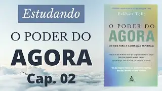 ESTUDANDO O PODER DO AGORA - CONSCIÊNCIA - O CAMINHO PARA ESCAPAR DO SOFRIMENTO | Evoluir 65
