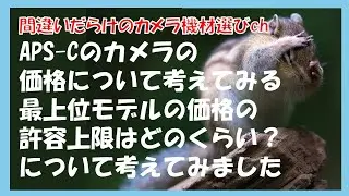 間違いだらけのカメラ機材選びch 「APS-Cのカメラの価格について考えてみる最上位モデルの価格の許容上限はどのくらい？について考えてみました」