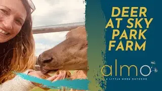 Must visit deer at Sky Park Farm