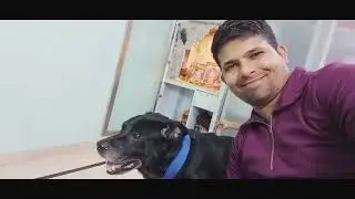 Guard Dog । Labrador Dog । Dog Breeds । 🦮🐕&zwj;🦺🦮🐕&zwj;🦺