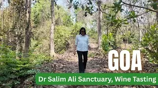 Explore Goa's HIDDEN GEM: Salim Ali Sanctuary to Wine Tasting!