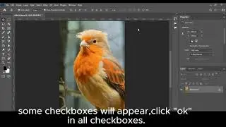 How to use  image processor in Adobe Photoshop?