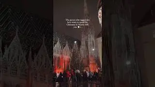 the magic of Christmas in Vienna! &hearts;️🎄🎅🏻 #shorts  #travel #fyp