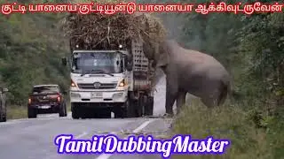 ஒரு கட்டு கரும்புக்கு என்னவெல்லாம் பண்ண வேண்டியிருக்கு| யானை Mindvoice Comedy Collection| Ep 02 | 