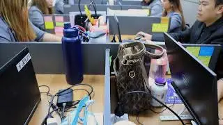 Enlight Migration Consultancy Office Tour