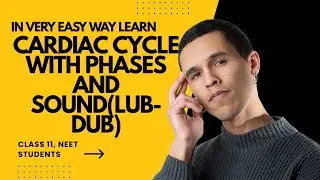 Cardiac Cycle Made Easy | Phases & Heart Sounds (Lub-Dub) | Class 11 NEET