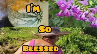 CUTTING THE YARD AND REMOVING THE DRIED PUMPKIN VINES‼️MORE BLOOMS FROM MY GARDEN 