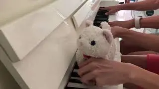 NUSH EXCITE 2020 Performances「 The Cat Revolution 」