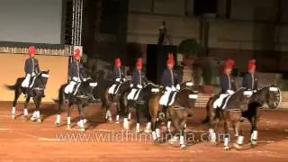 Only horses in the Indian army are allowed to wear a full mane