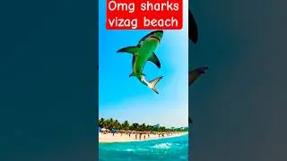 Omg 😨 Sharks 🦈 Vizag Beach #shorts #youtubeshorts #shortsfeed  #vizagbeach #sharks