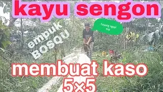 membuat balok 5&times;5cm panjang 4m menggunakan nuwest 788