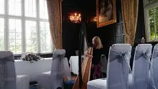 Canon in D at Bisham Abbey, Wedding Harp