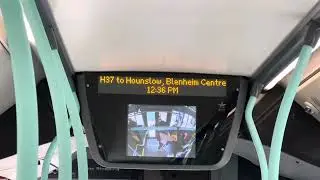 (Ibus) H37 to Hounslow Blenheim Centre  
