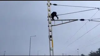 tamuria ghogardiha nirmali jhanjharpur saharsa electrification update today
