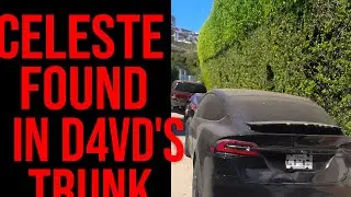Celeste Found in davids aka D4vd trunk Was #davidframed ?
