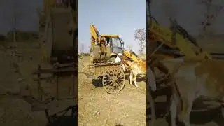 #JCB loading bailgadi