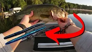 Catching Bass on Senkos