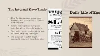 Module 4, King Cotton & the Slave Economy, 1800 1860