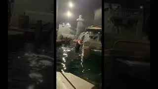 Guy JUMPS out of Pirates of the Caribbean boat at Magic Kingdom #shorts #disney