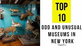 TOP 10 Odd and Unusual Museums in New York