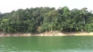 Belum Temenggor Lake