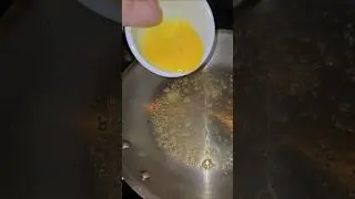 Day 1 World's Fastest Egg