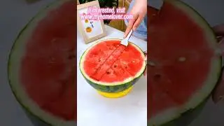 Useful Stainless Steel Watermelon Cutter