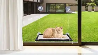 Yicostar Cat Window Perch | Cat Window Hammock with 4 Strong Suction Cups, Space Saving