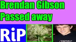 Brendan Gibson RiP / Brendan Gibson Death and Obituary / Brendan Gibson Passed Away