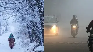 Dense Fog and Cold Wave Alerts Issued for Northern India