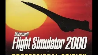 Thrift Store Finds | Flight Simulator 2000