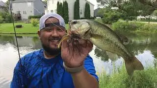 CAST Crew Pond Hopping