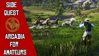 ARCADIA FOR AMATEURS | Red Dead Redemption 2 Full Side Quest